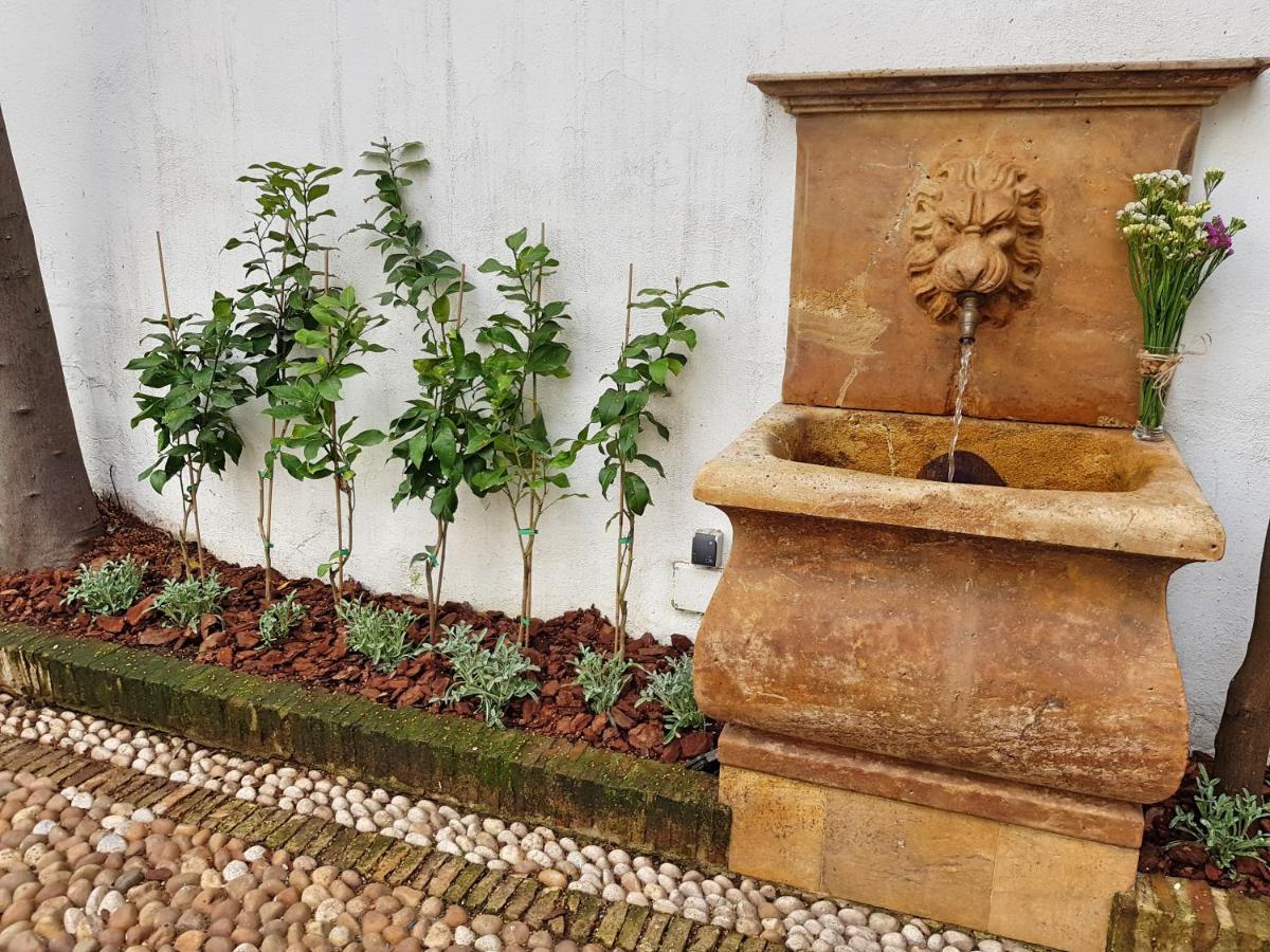 Riad Mezquita De Cordoba Ngoại thất bức ảnh